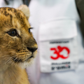FONDATION 30 MILLIONS D'AMIS