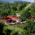 DISTILLERIE DE FONDS PRÉVILLE - RON J.M