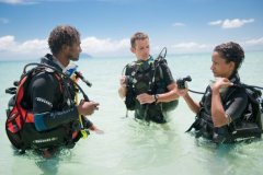 BLUE SEA DIVERS