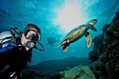 OCTOPUS DIVING CENTER