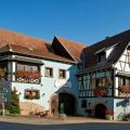 EMMEBUCKEL FALLER