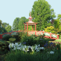 PARC FLORAL D'APREMONT-SUR-ALLIER