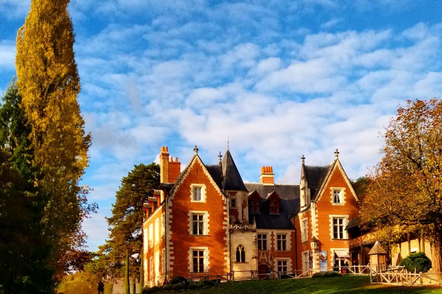 CHÂTEAU DU CLOS LUCÉ - PARC LEONARDO DA VINCI