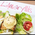 L' AMARYLLIS