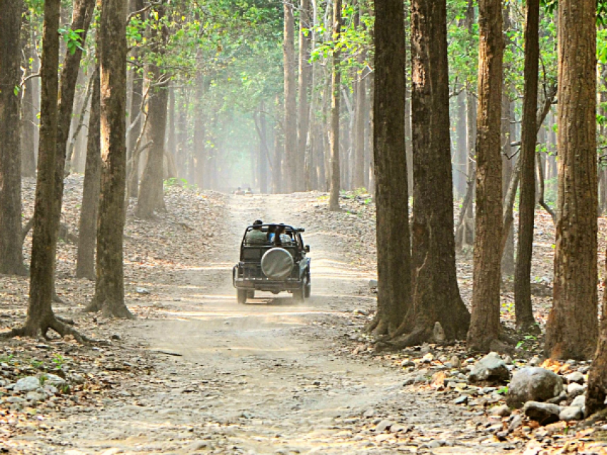 Réserve de tigres de Bandhavgarh