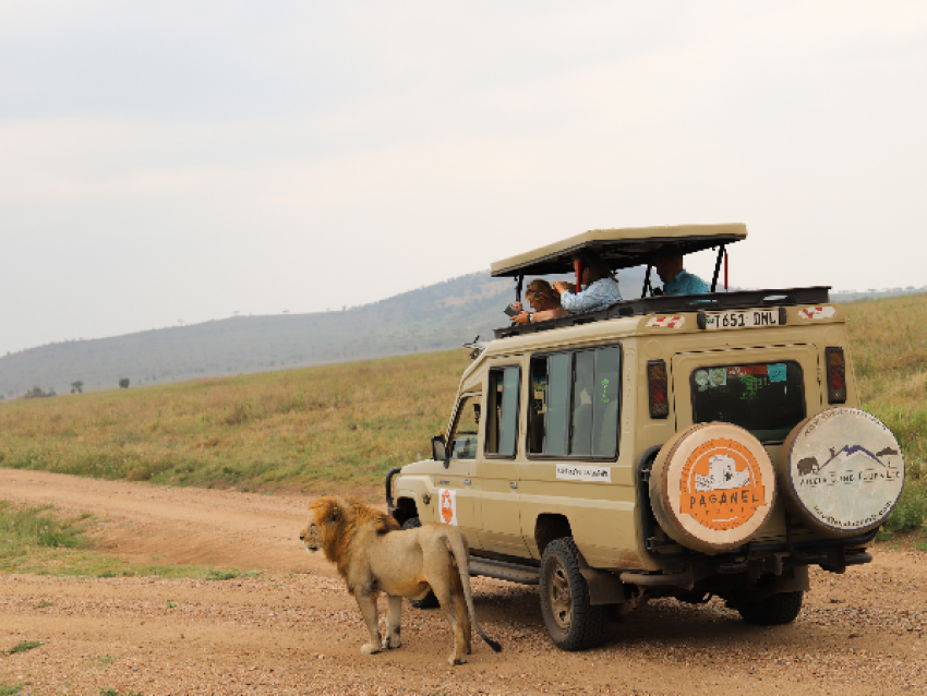 Serengeti