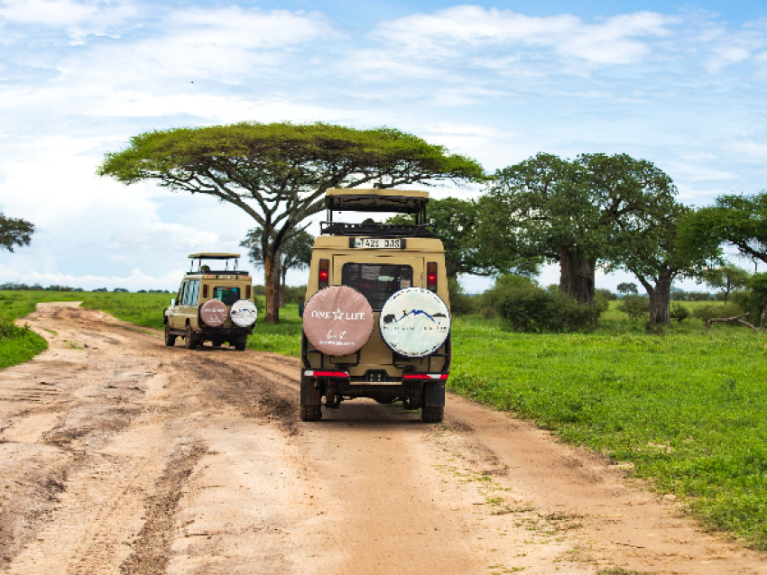 tarangire
