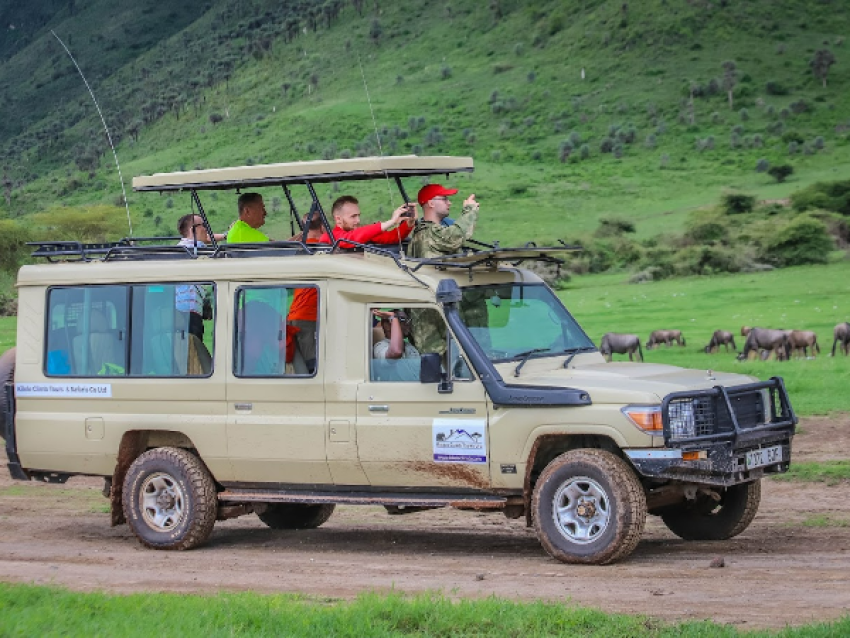 Ngorongoro