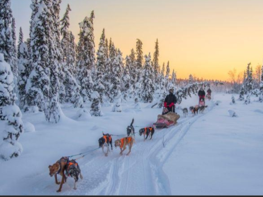 Visite au Pays du Père Noël