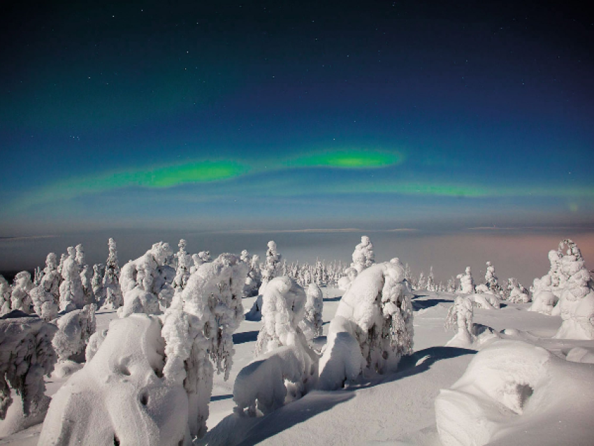 Nordic.be