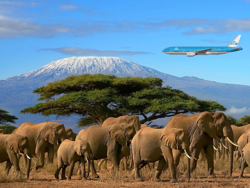 Arrivée à Kilimanjaro airport