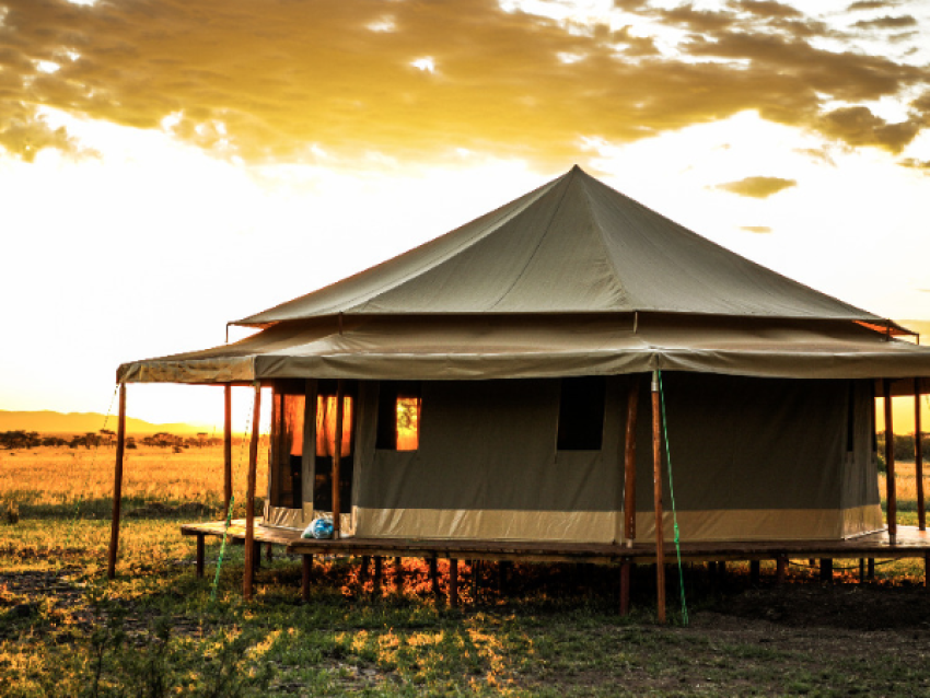 Sound of Silence Tente de Safari