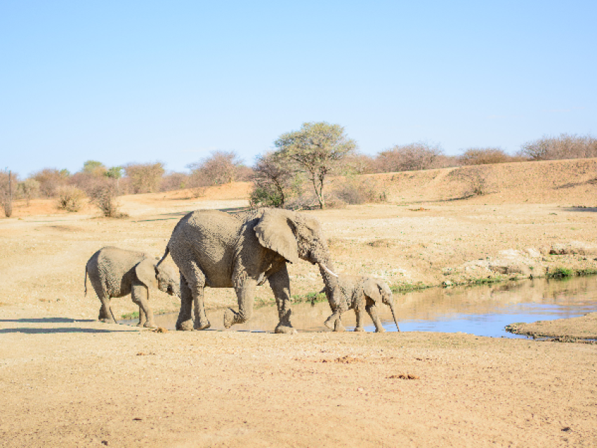 Parc national d'Etosha