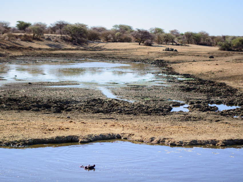 Trou d'eau - Parc national d'Etosha