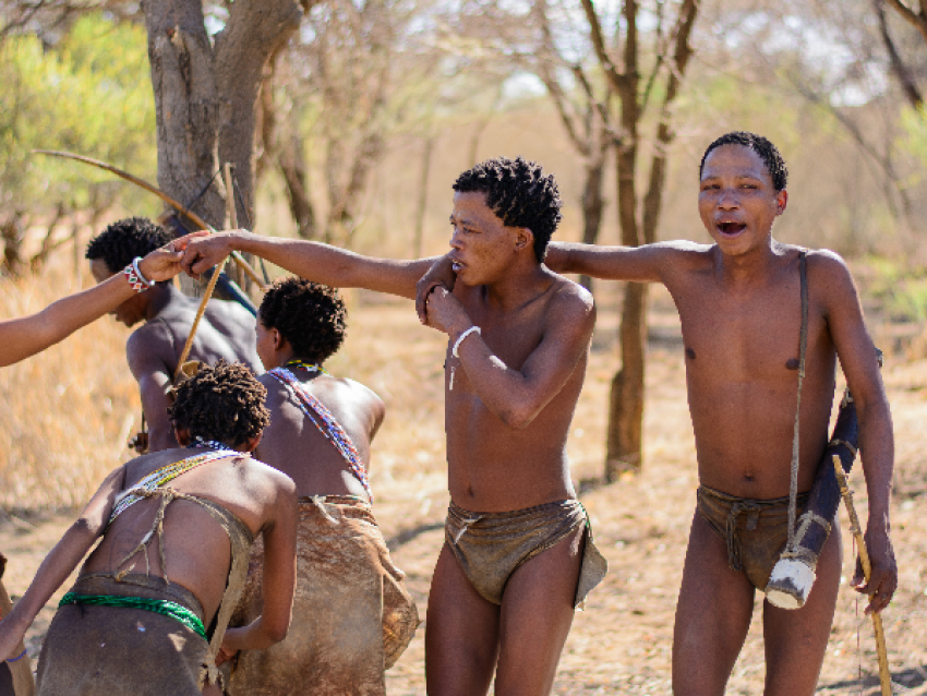 Le peuple bushman