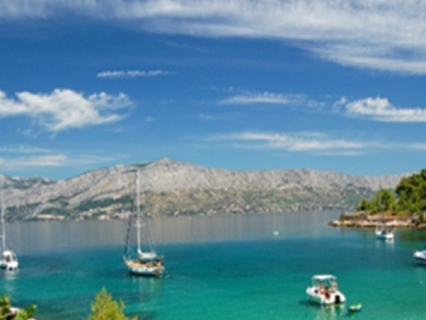 SPLIT
