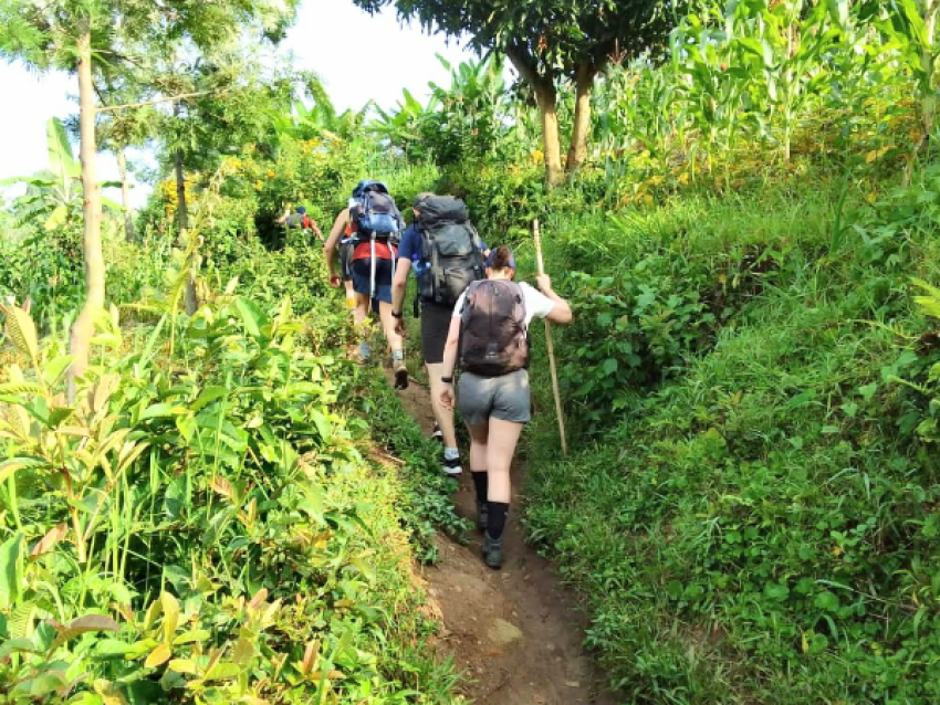 sentier du congonile