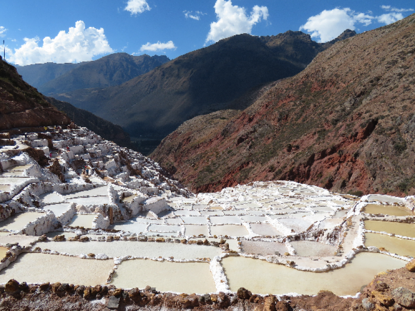 Maras