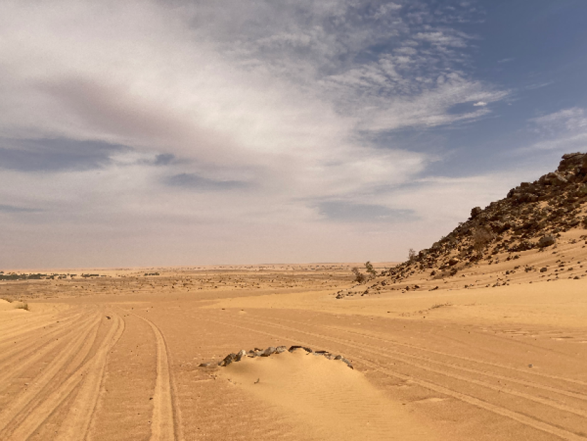 Oasis de tenochert