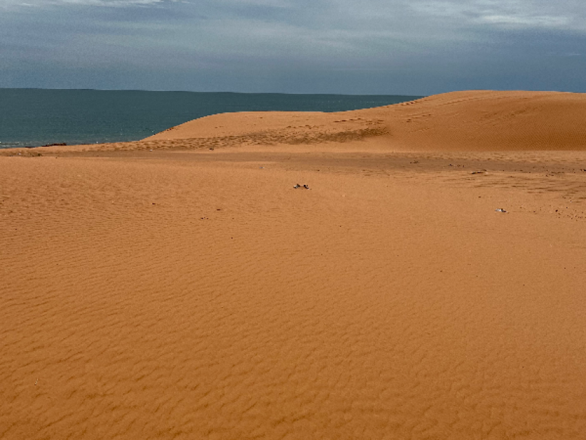 Route de retour à Nouakchott par la plage