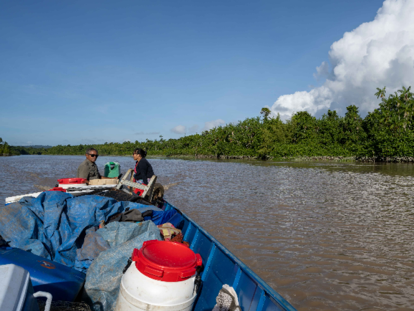 Fleuve Oyapock