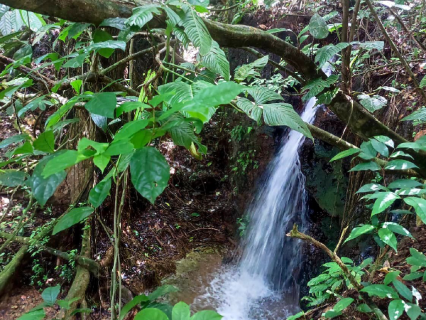 Chute d'eau de Ouanary