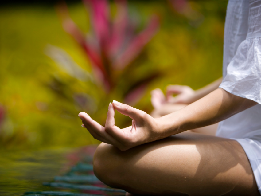 Yoga face aux rizières