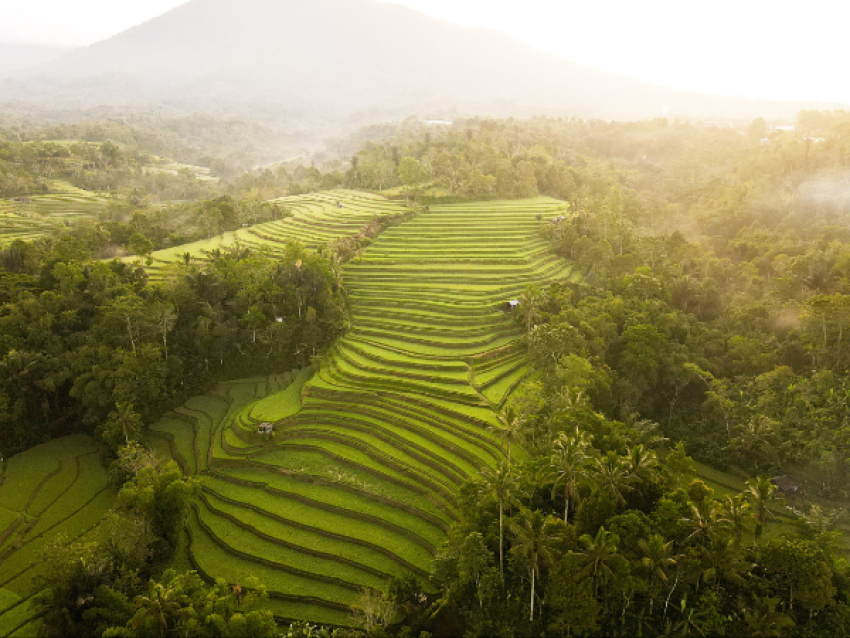 Grenier à Riz de Bali