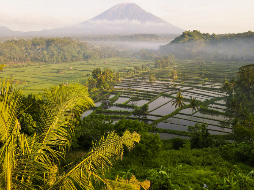 Rizières et volcan Agung
