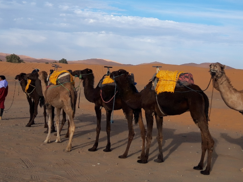 Randonnée Merzouga