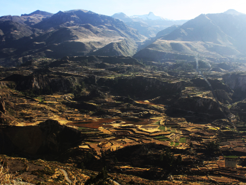Vallée du Colca - Voyage au Pérou