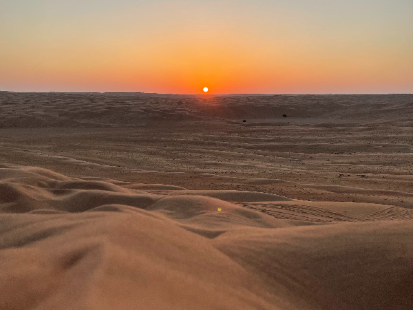 Sables de Wahiba