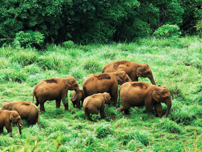 Periyar