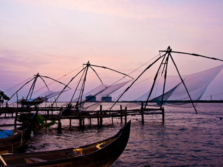 Kochi - Filets de pêche