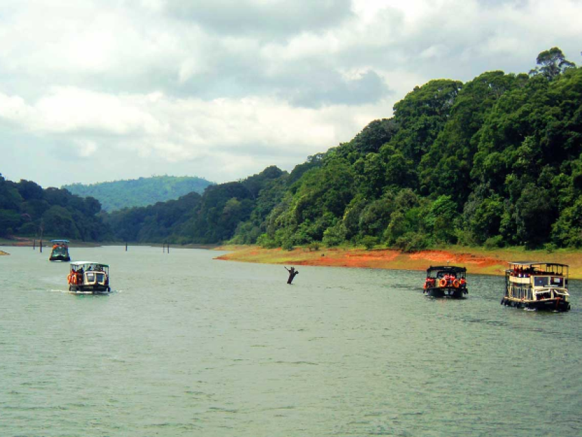 Navigation à Periyar