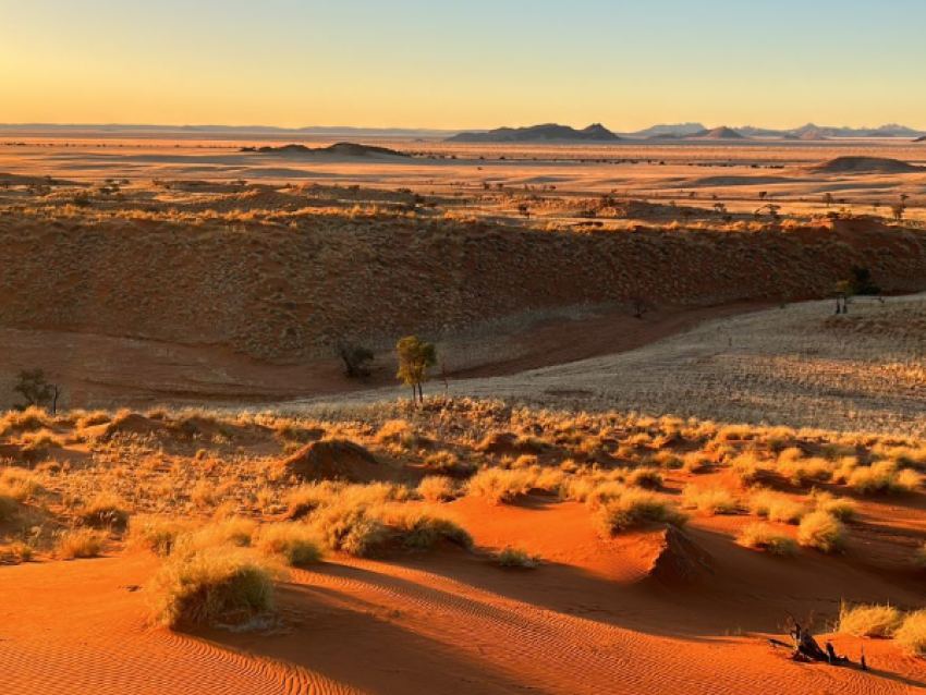 African Elegance Safaris