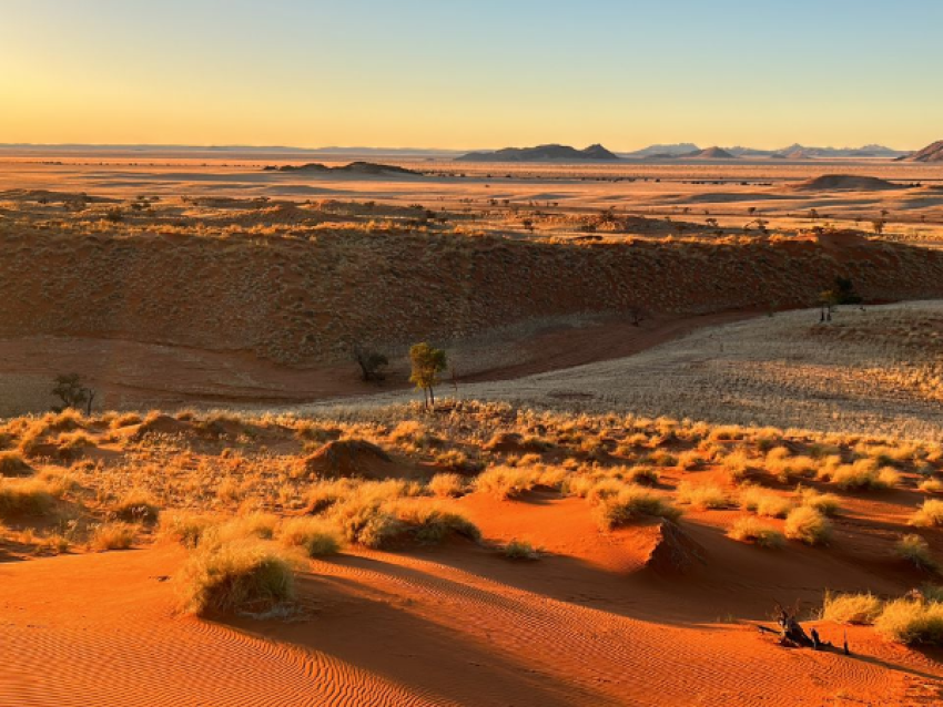African Elegance Safaris Namibie