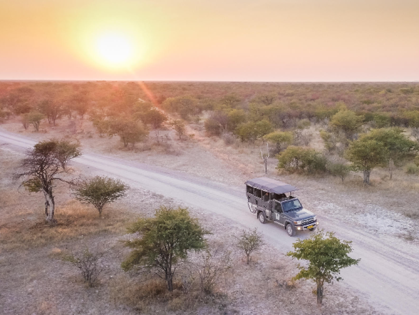 Etosha Sud