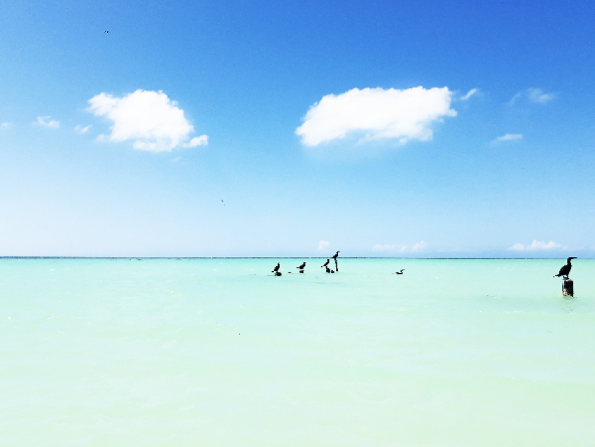 îles Caribéennes paradisiaques