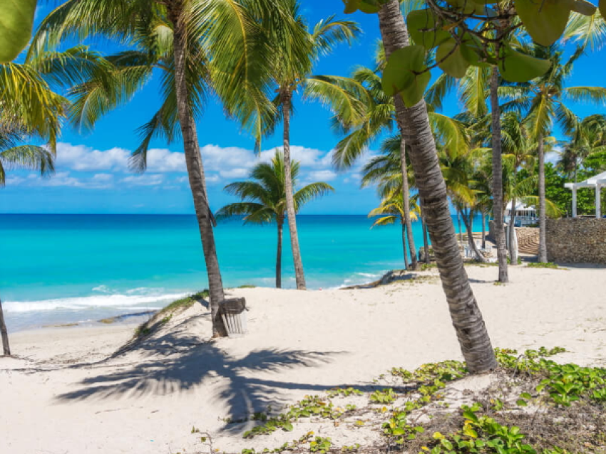 Plage de sable blanc