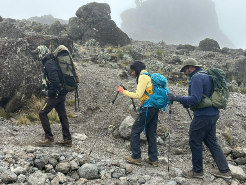 Hikers