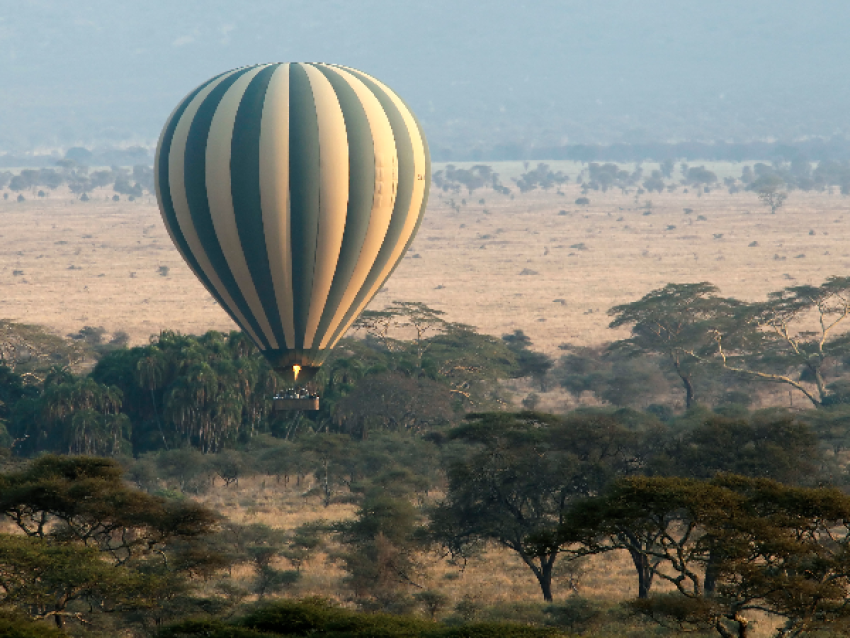 Safari en montgolfière