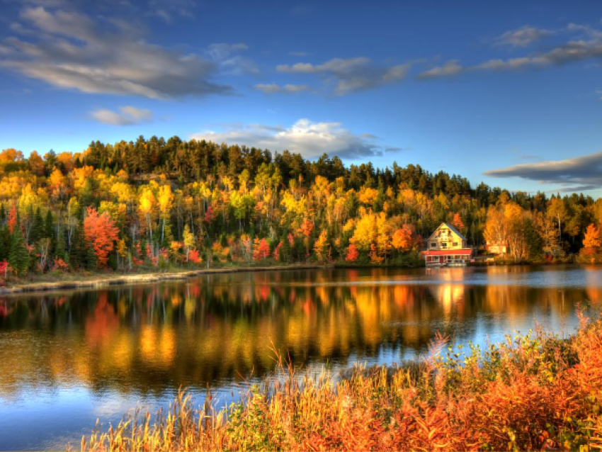Parc de la Jacques-Cartier en automne