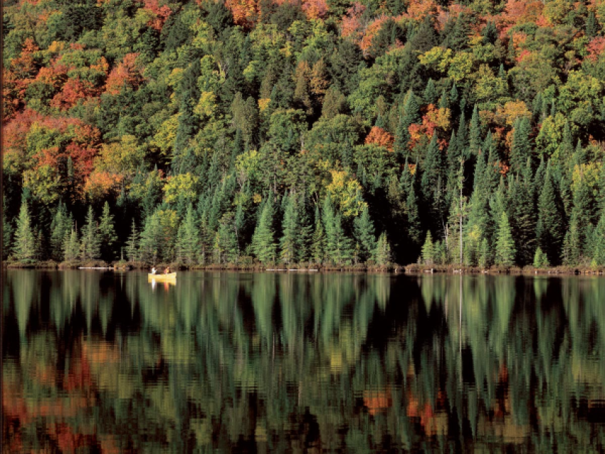 Excursion en canot dans le parc national d'Oka