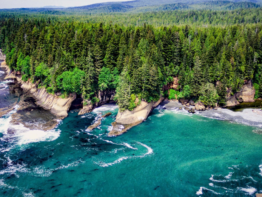 Réserve nationale du Pacific Rim