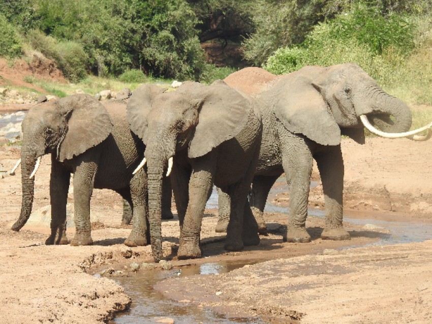aventure en rupie