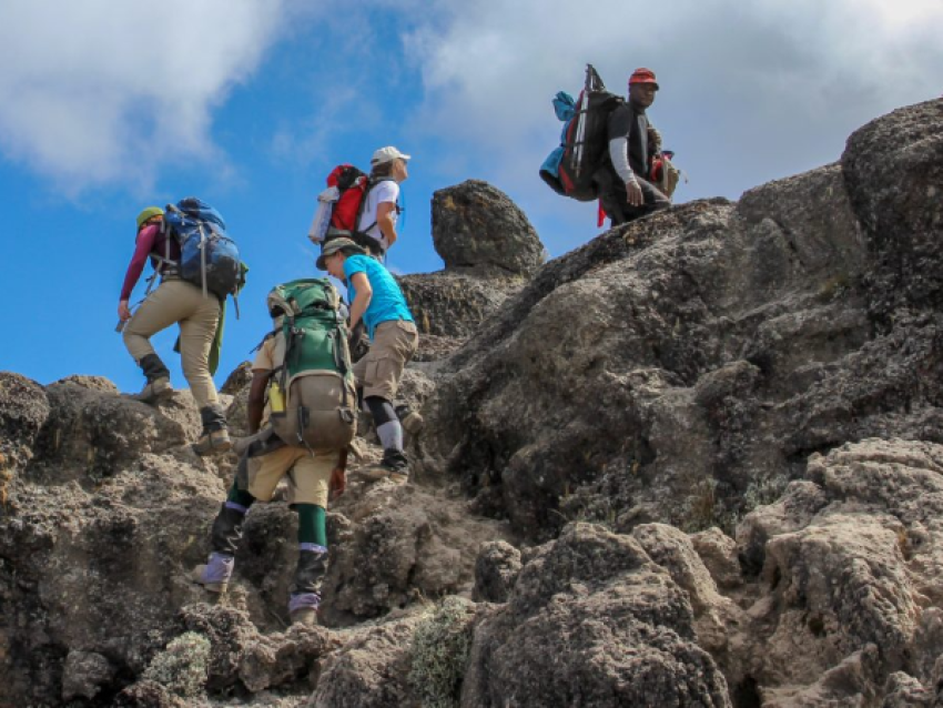 KILIMANJARO