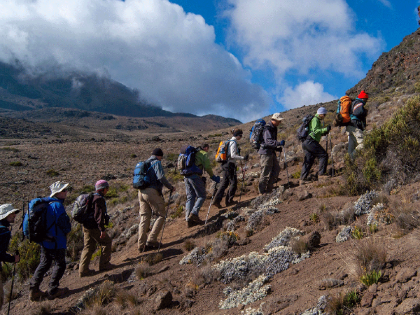 KILIMANJARO