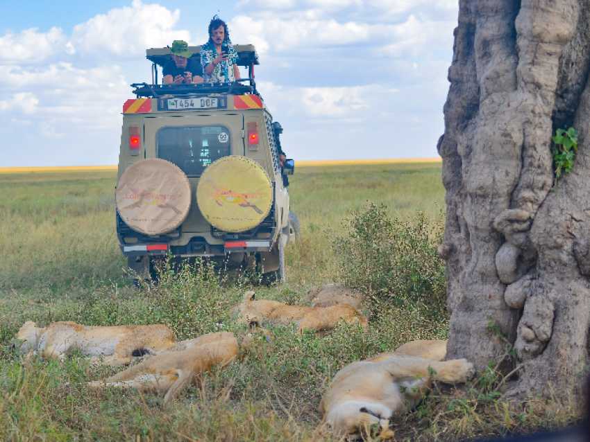 PLAINE DU SERENGETI
