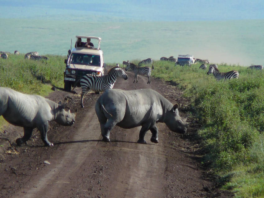 CRATÈRE DU NGORONGORO